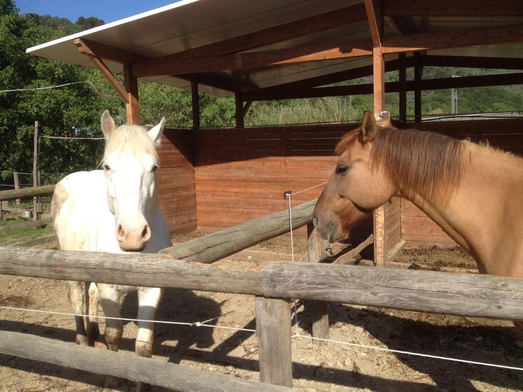 Il Piccolo Ranch Ξενοδοχείο Cervo Εξωτερικό φωτογραφία