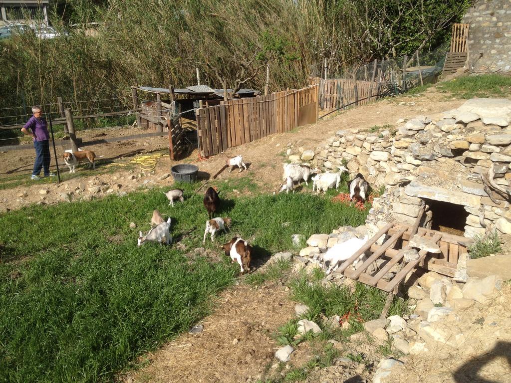 Il Piccolo Ranch Ξενοδοχείο Cervo Εξωτερικό φωτογραφία