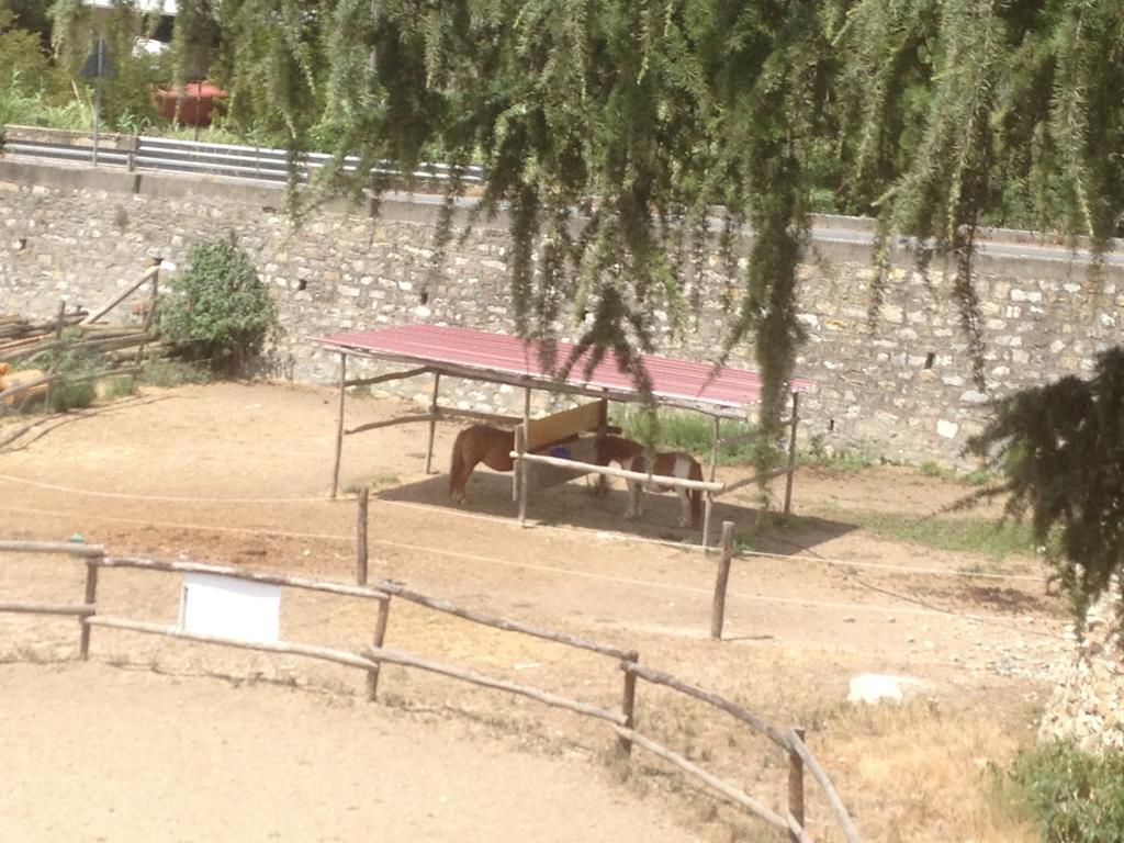 Il Piccolo Ranch Ξενοδοχείο Cervo Εξωτερικό φωτογραφία