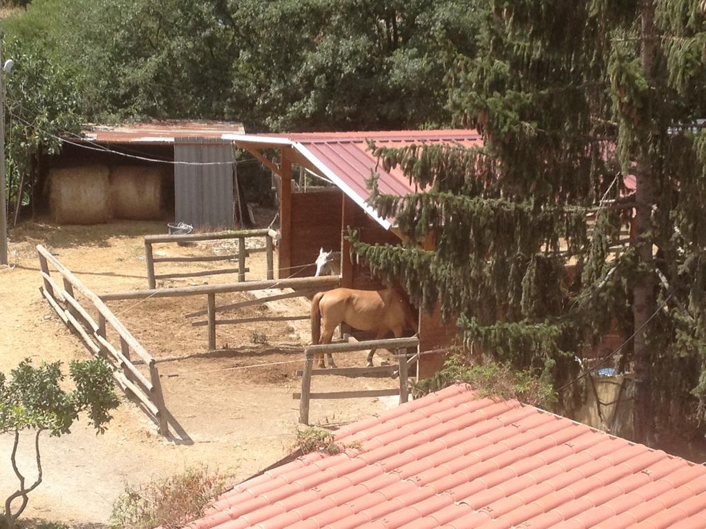 Il Piccolo Ranch Ξενοδοχείο Cervo Εξωτερικό φωτογραφία