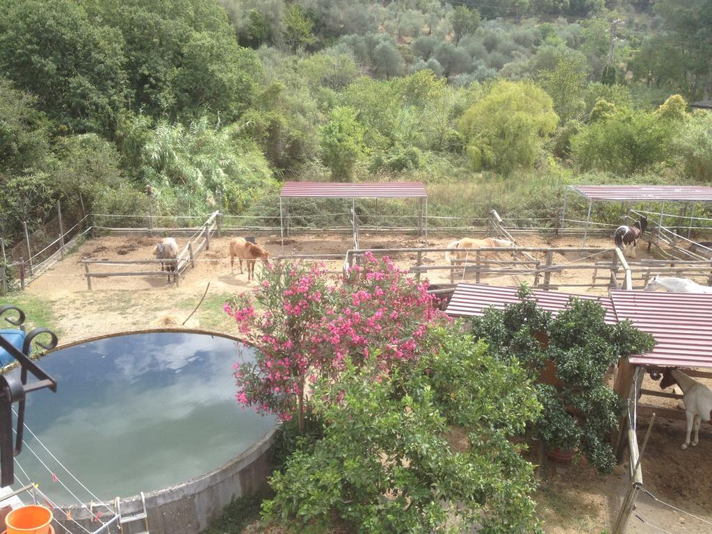 Il Piccolo Ranch Ξενοδοχείο Cervo Εξωτερικό φωτογραφία