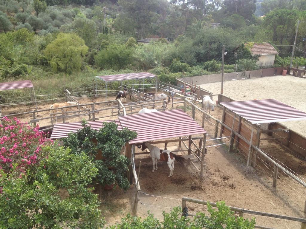 Il Piccolo Ranch Ξενοδοχείο Cervo Εξωτερικό φωτογραφία